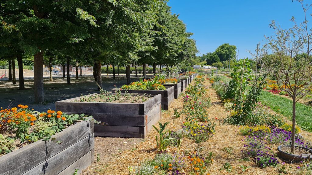 02-parcul-sub-arini-studiu-de-caz-02-parc-de-gerland-image-01.jpg