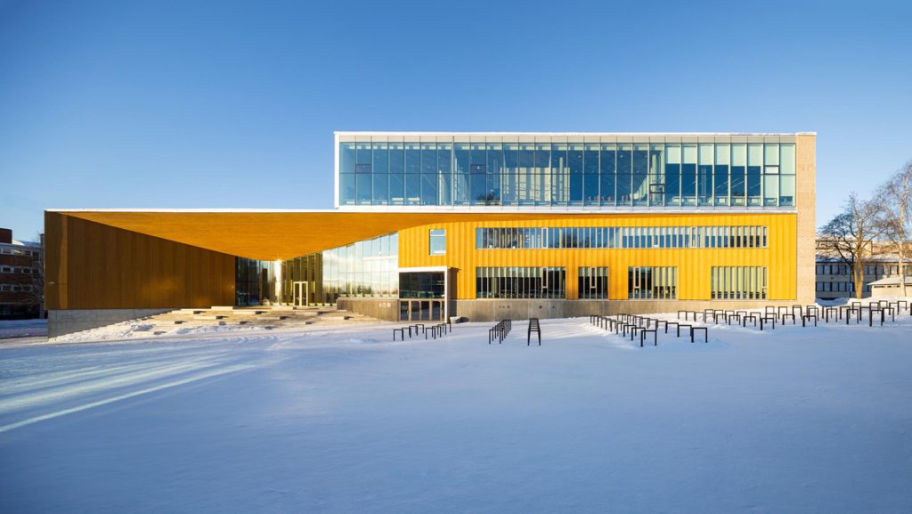07-campus-dual-studiu-de-caz-02-liceul-de-arta-lumit-image-02.jpg