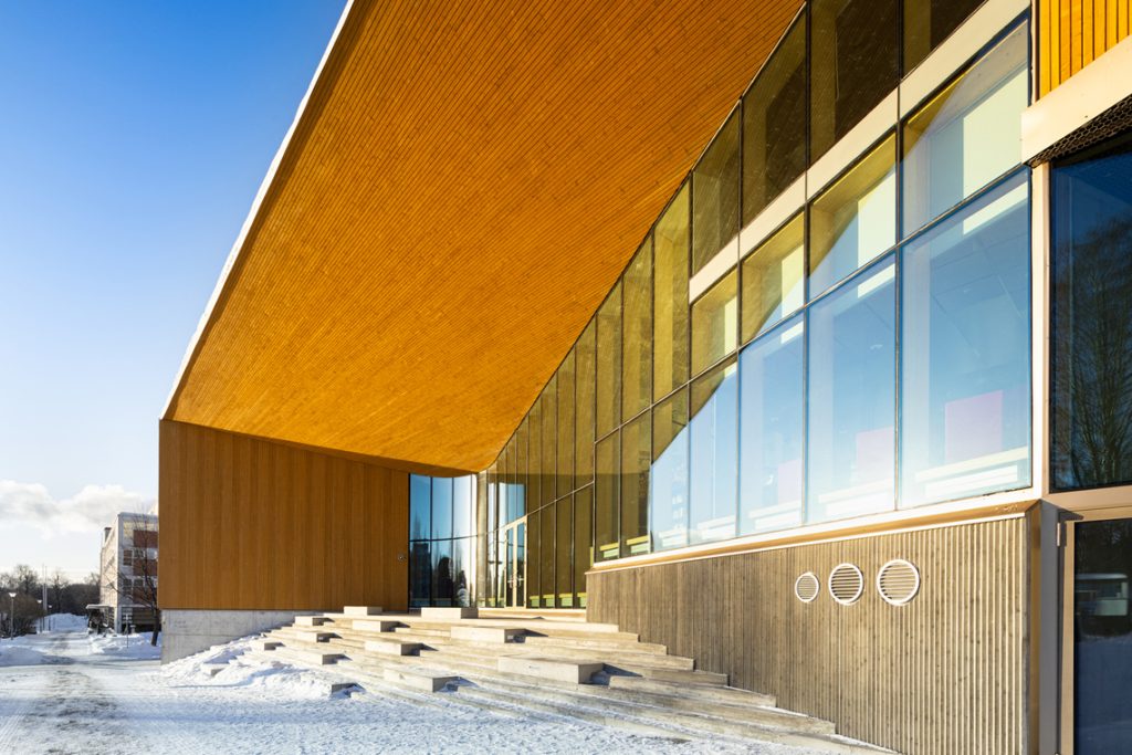 07-campus-dual-studiu-de-caz-02-liceul-de-arta-lumit-image-03.jpg