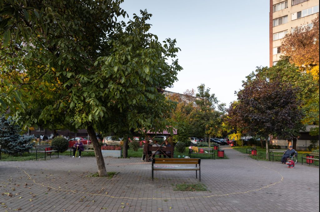 6.-Linia-galbena-beta-2022.jpg