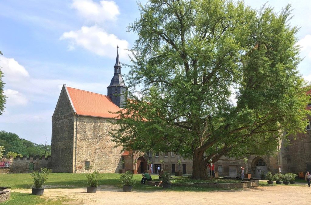 Poza-1_Schloss-Goseck-2.jpg