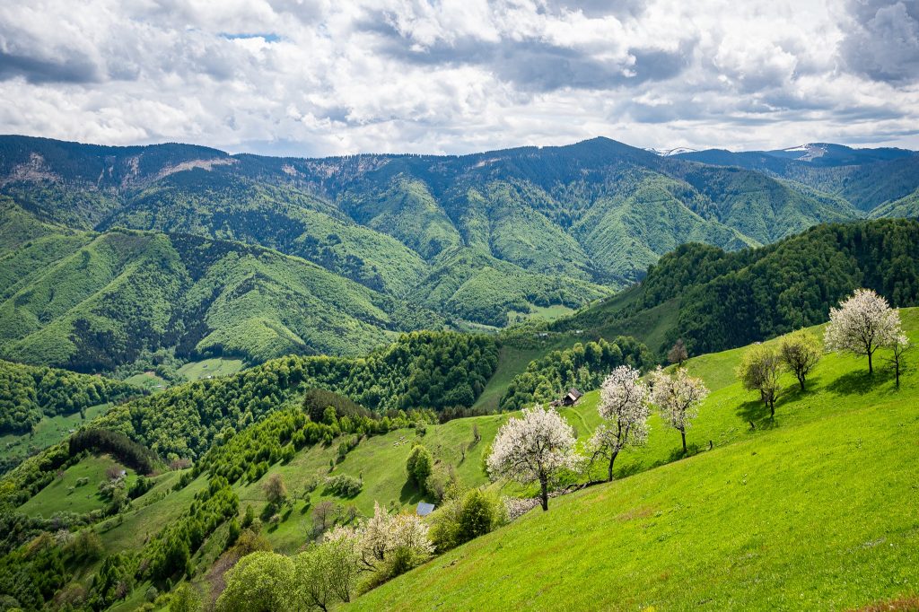 Poza-4_Secaturi.jpg